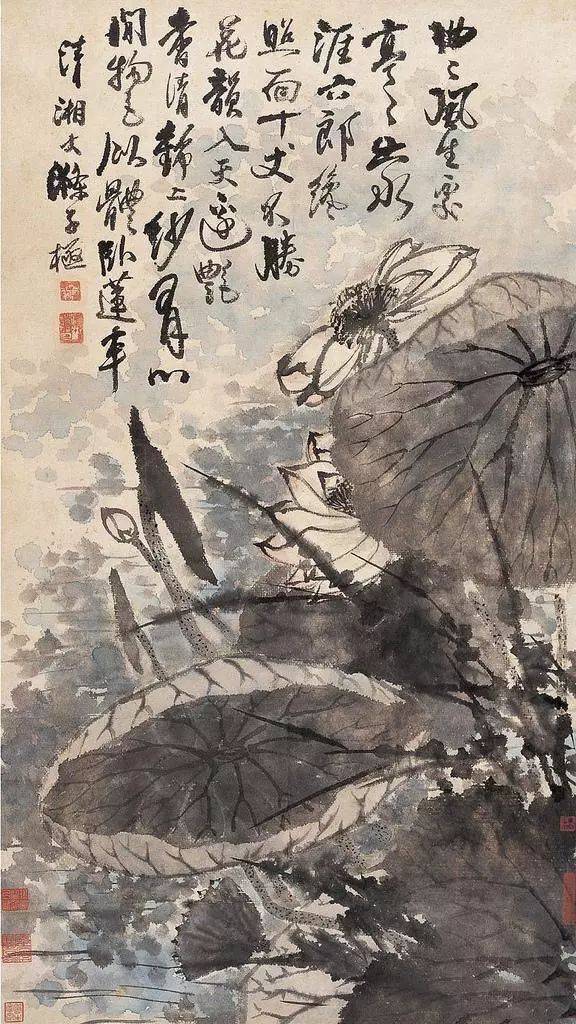 石涛荷花作品欣赏 历代国画 第11张