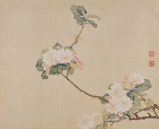 居廉《二十四番花信》 历代国画 第49张