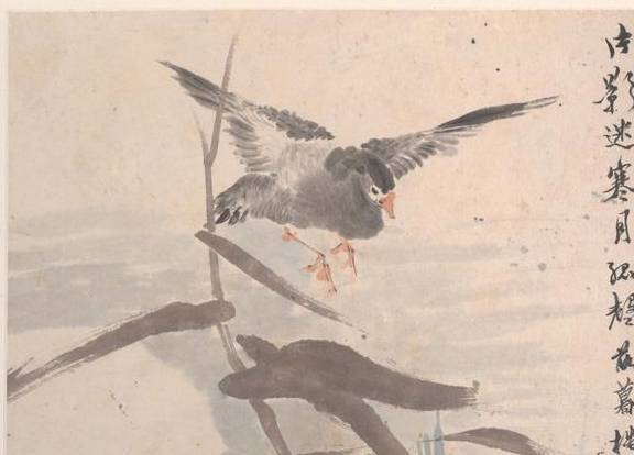 任颐《花鸟册页》 历代国画 第4张