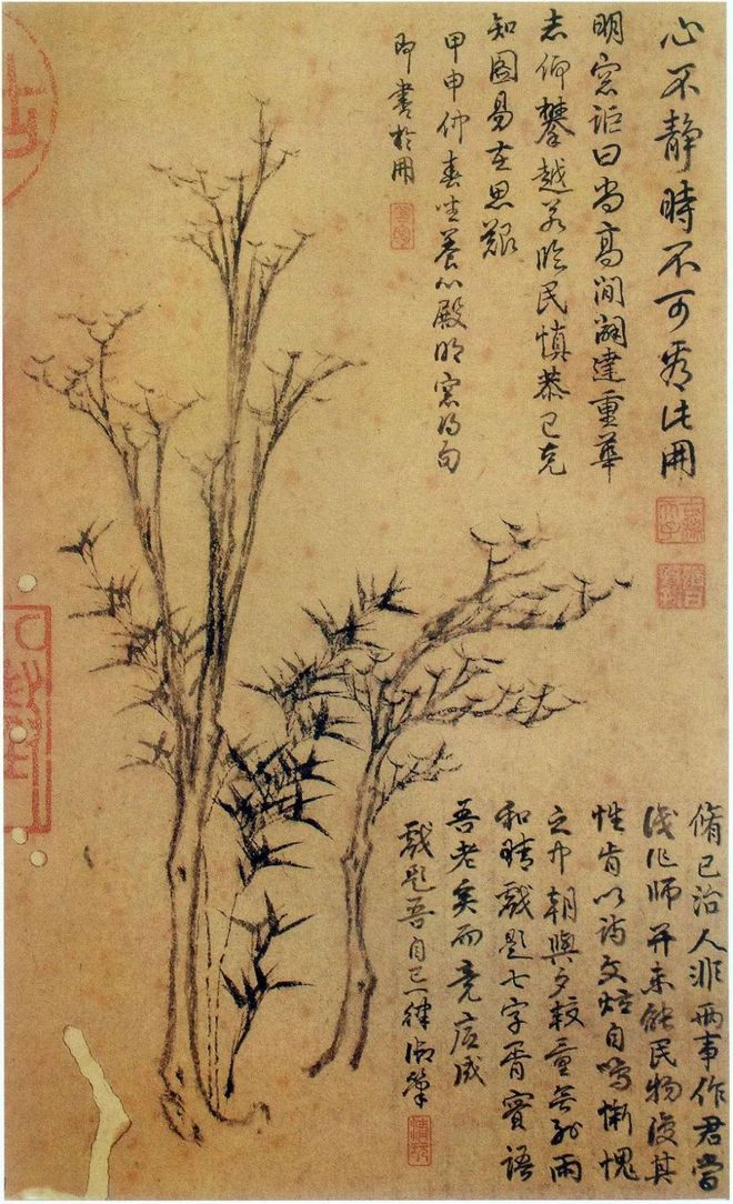 倪瓒《竹林山石画谱》 历代国画 第8张-墨韵书香 倪瓒《竹林山石画谱》 历代国画 第8张