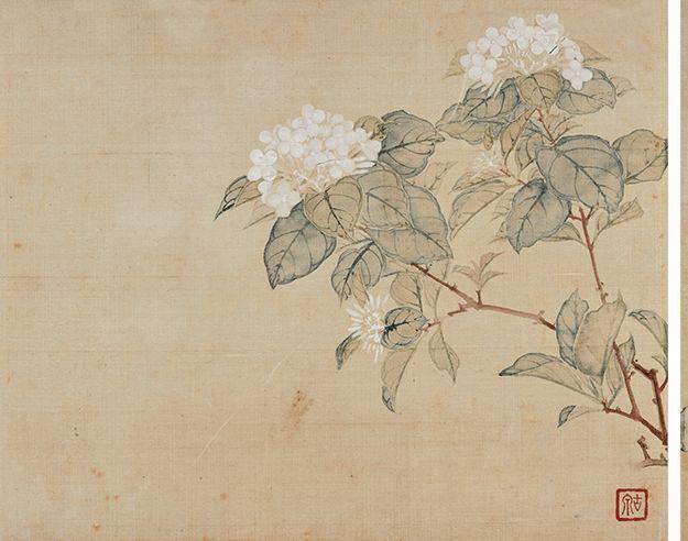 居廉《二十四番花信》 历代国画 第4张