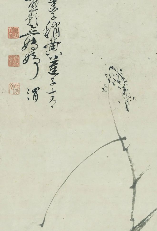 徐渭《墨荷图》 历代国画 第2张