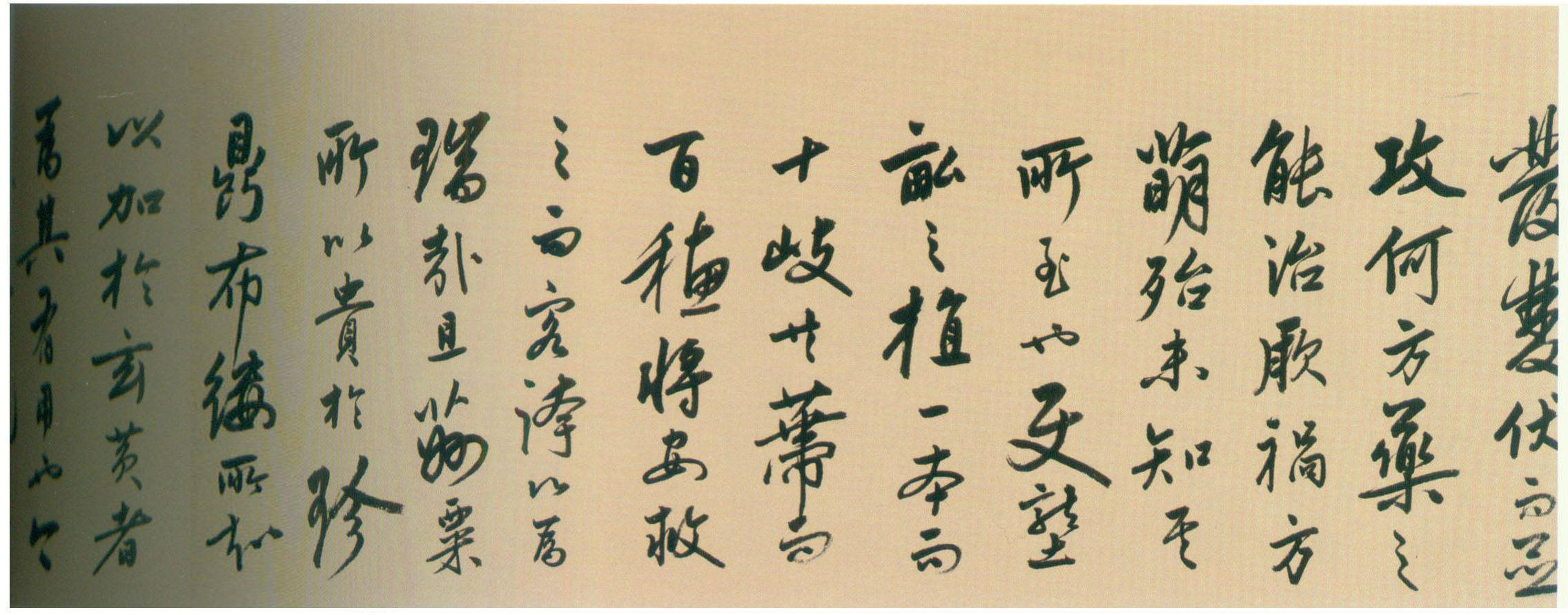 陆深行书《瑞麦赋》 历代书法 第5张