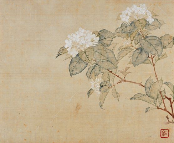 居廉《二十四番花信》 历代国画 第35张