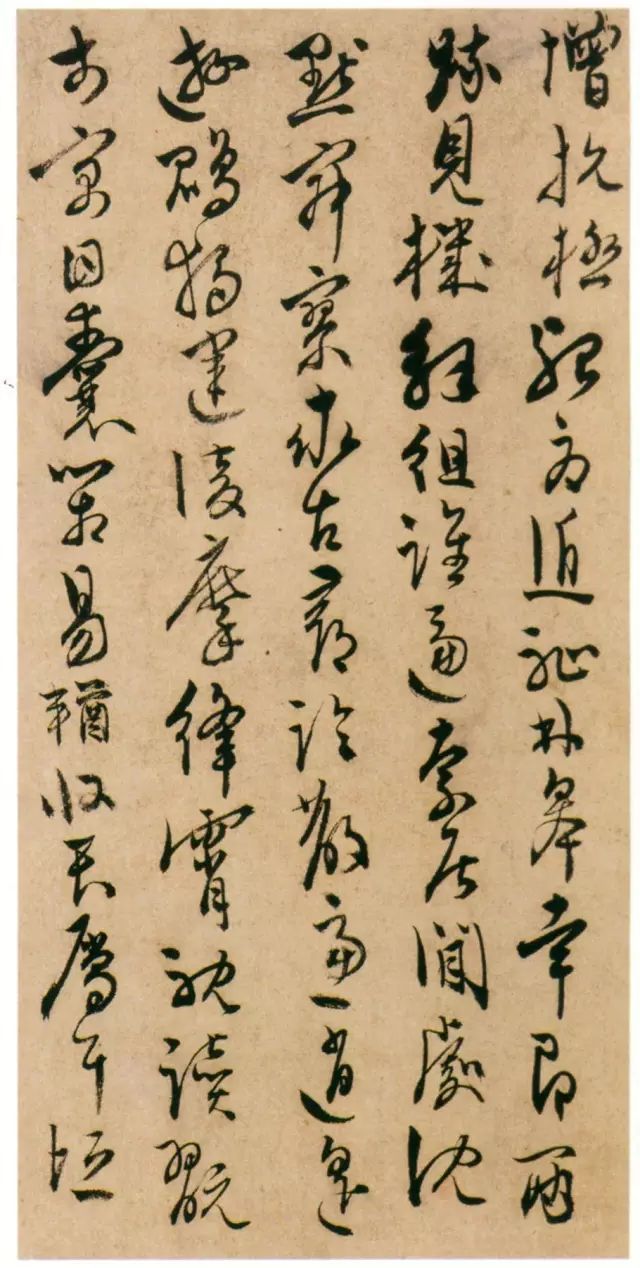 陈淳《草书千字文册》 历代书法 第13张