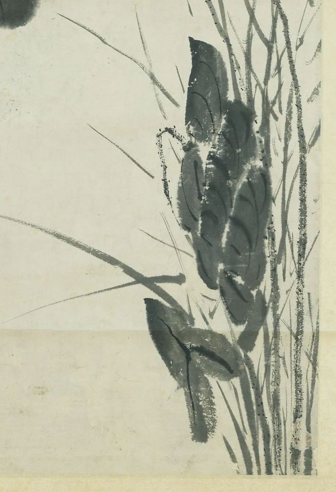 徐渭《墨荷图》 历代国画 第4张