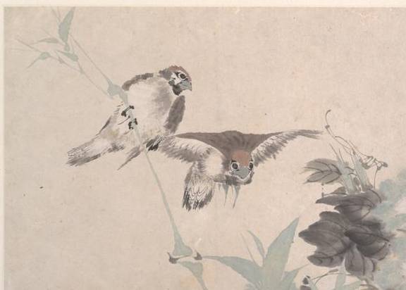任颐《花鸟册页》 历代国画 第5张