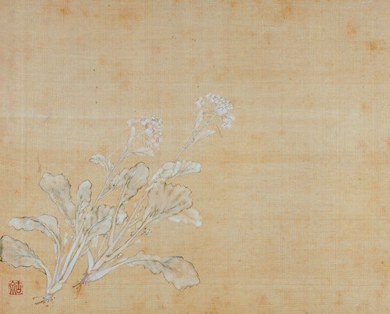 居廉《二十四番花信》 历代国画 第28张