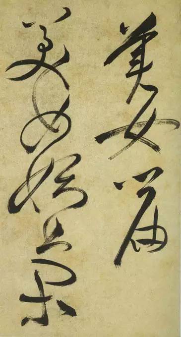 祝允明草书《美女篇》 历代书法 第1张-墨韵书香 祝允明草书《美女篇》 历代书法 第1张