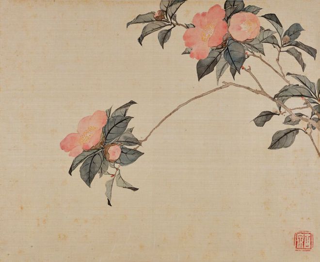居廉《二十四番花信》 历代国画 第36张