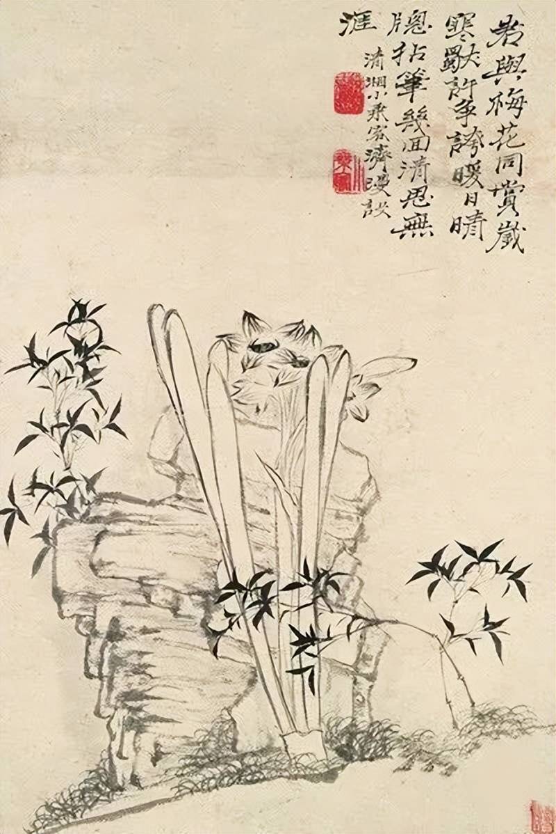 石涛荷花作品欣赏 历代国画 第15张