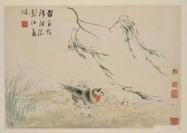 华喦《新罗山人花鸟册》 历代国画 第8张