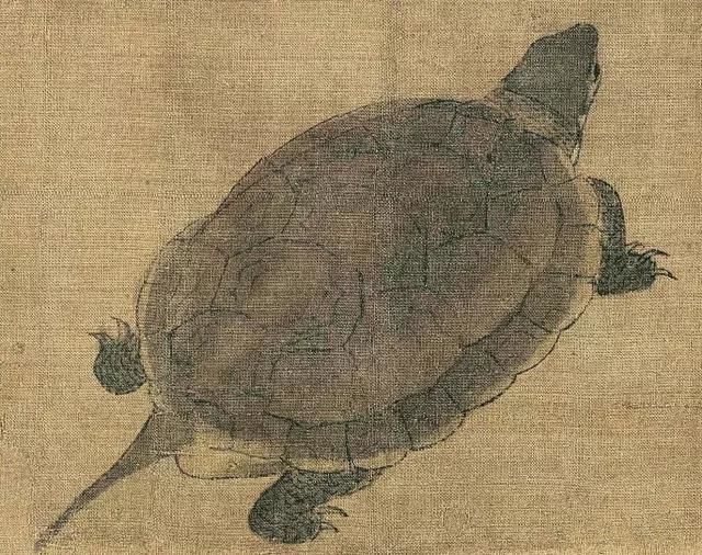 黄筌《写生珍禽图》 历代国画 第12张