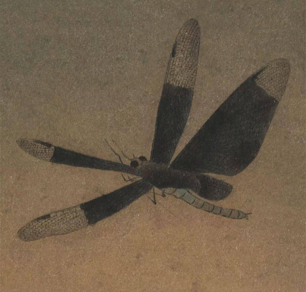 许迪《野蔬草虫》 历代国画 第3张