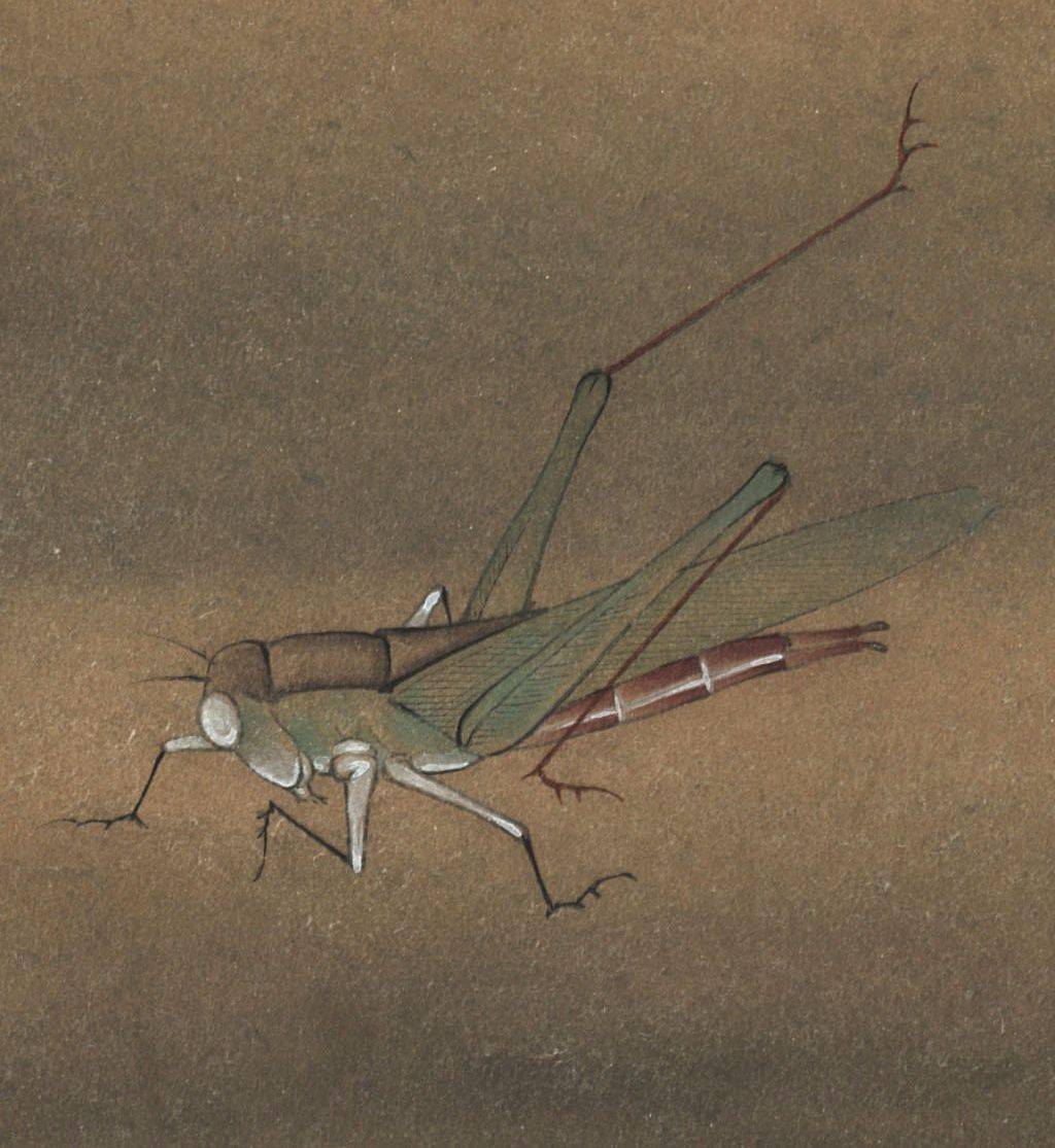 许迪《野蔬草虫》 历代国画 第2张