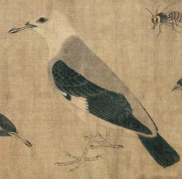 黄筌《写生珍禽图》 历代国画 第10张