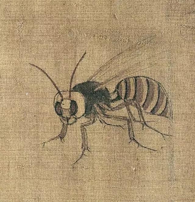 黄筌《写生珍禽图》 历代国画 第8张