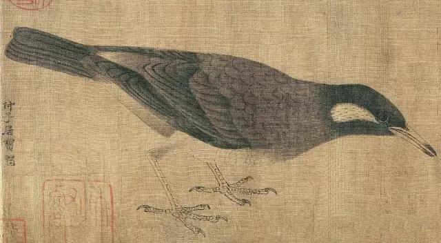 黄筌《写生珍禽图》 历代国画 第9张