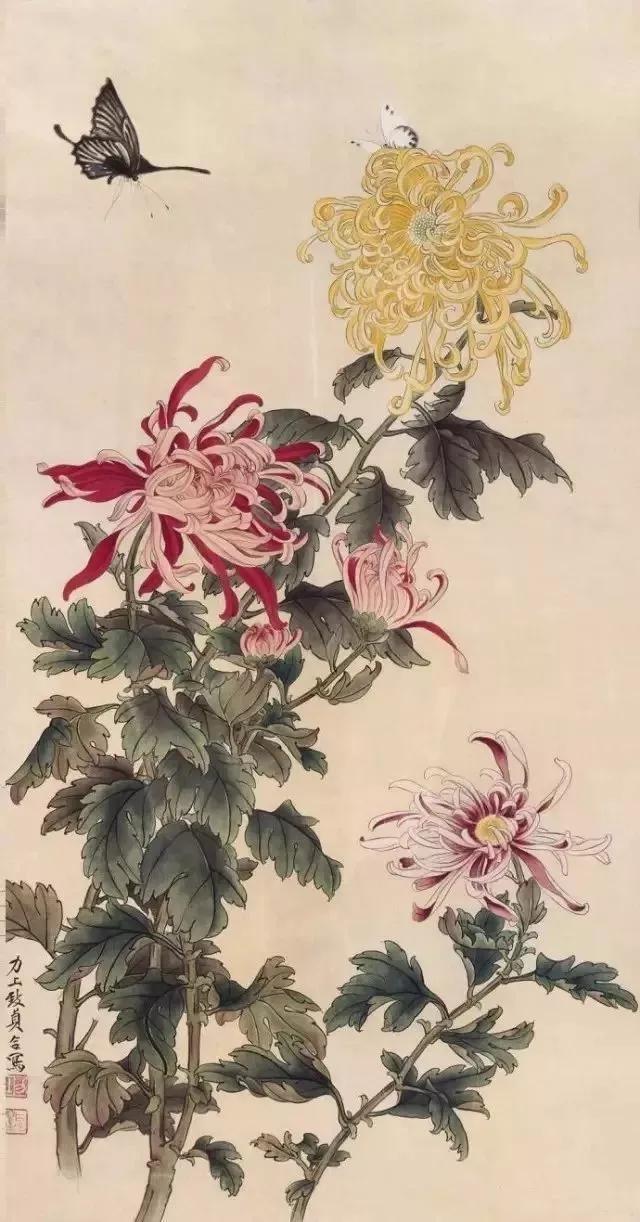 顾伯达《菊花》 历代国画 第20张