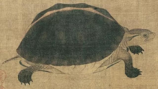 黄筌《写生珍禽图》 历代国画 第13张