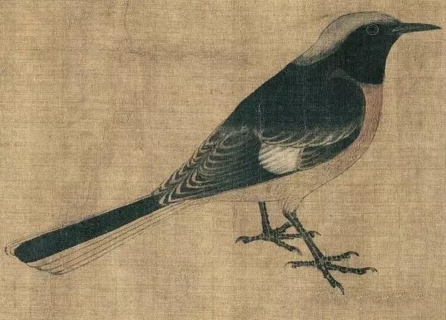 黄筌《写生珍禽图》 历代国画 第7张