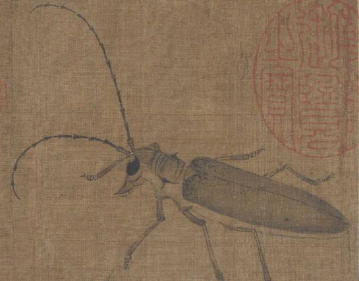 黄筌《写生珍禽图》 历代国画 第3张