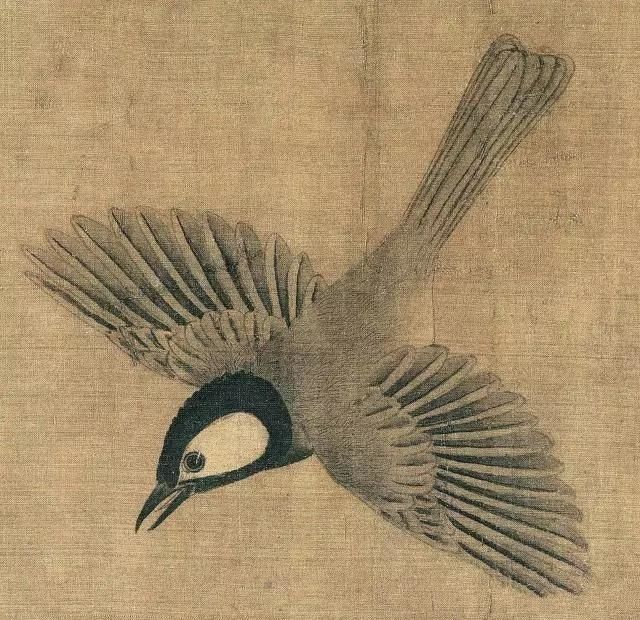 黄筌《写生珍禽图》 历代国画 第5张