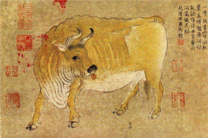 唐 韩滉《五牛图卷》 历代国画 第5张