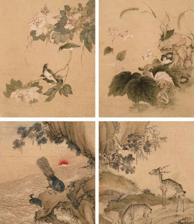 清代沈铨的花鸟作品鉴赏 历代国画 第15张