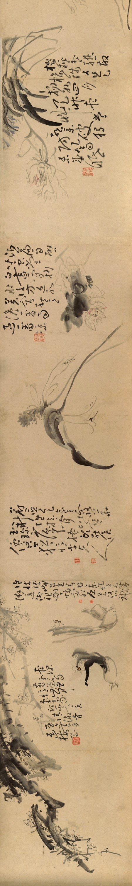 黄慎《花卉图》长卷 历代国画 第5张