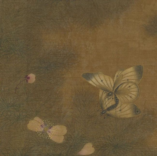 王渊《写生花卉册》之花蝶 历代国画 第3张