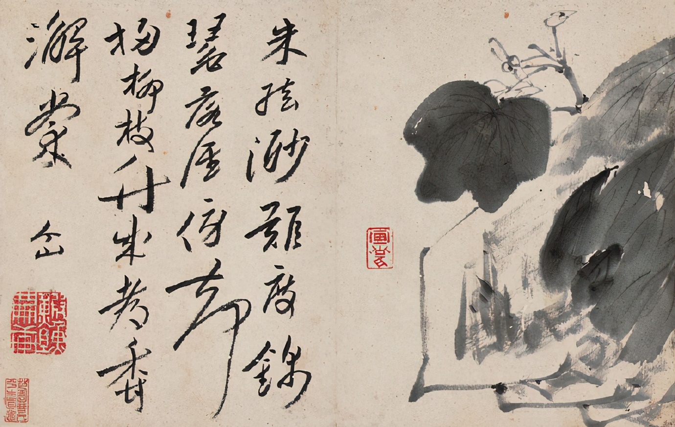 八大山人精品《个山杂画册》 历代国画 第9张