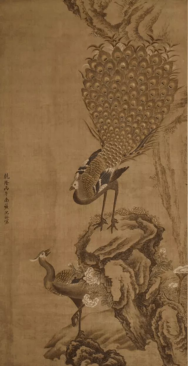 清代沈铨的花鸟作品鉴赏 历代国画 第12张