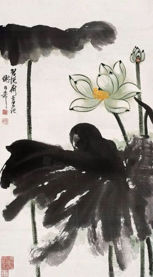 谢稚柳笔下的荷花，凝静含蓄中见潇洒！ 历代国画 第29张