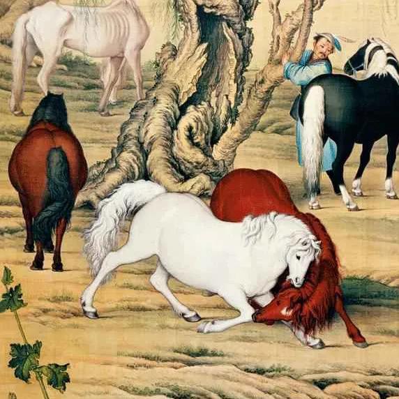 清 郎世宁《八骏图》 历代国画 第2张