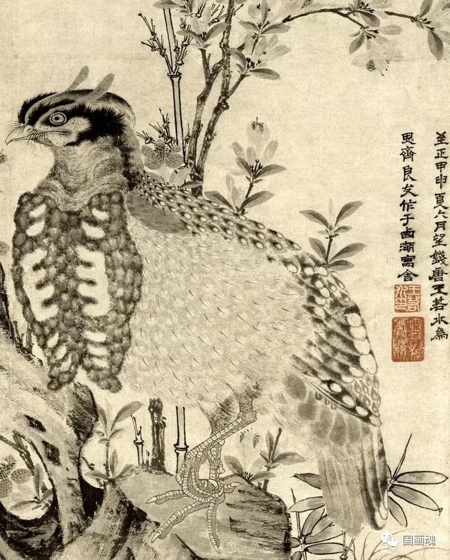 元 王渊《竹石集禽图》 历代国画 第5张