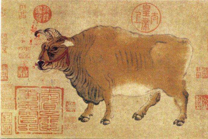 唐 韩滉《五牛图卷》 历代国画 第3张