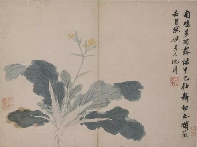 沈周《卧游图》 历代国画 第25张