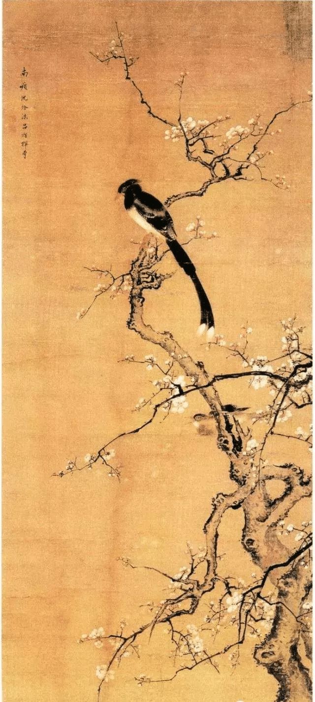 清代沈铨的花鸟作品鉴赏 历代国画 第1张