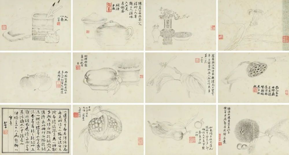 清代画家张槃《写生佳果册》 历代国画 第1张