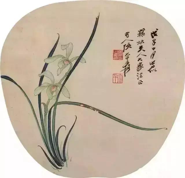 张大千18幅珍贵兰花图 历代国画 第14张