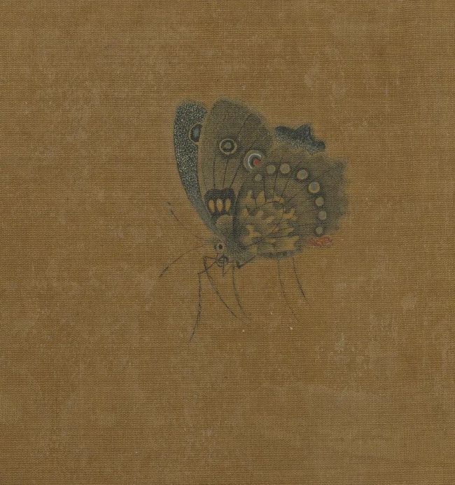 王渊《写生花卉册》之花蝶 历代国画 第2张