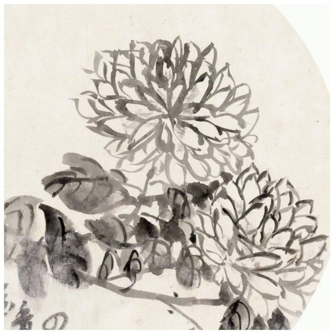 吴昌硕扇面画鉴赏 历代国画 第18张