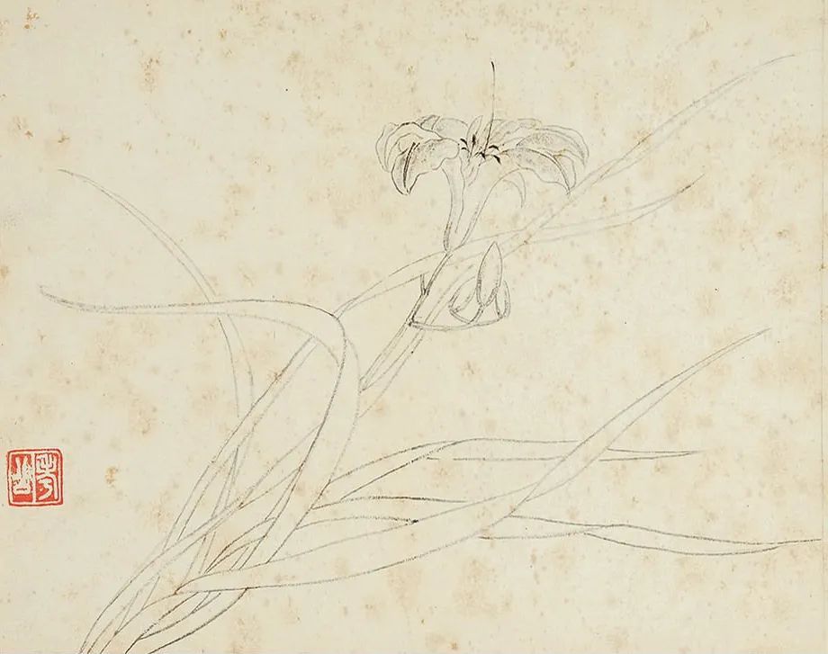 清代画家张槃《写生佳果册》 历代国画 第2张