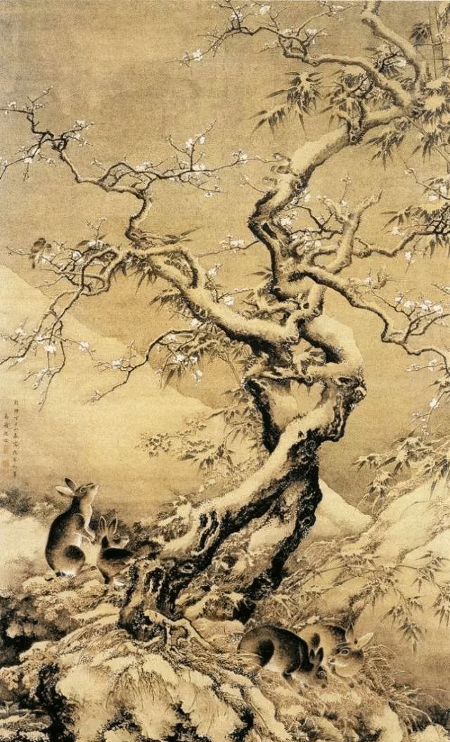 清代沈铨的花鸟作品鉴赏 历代国画 第18张