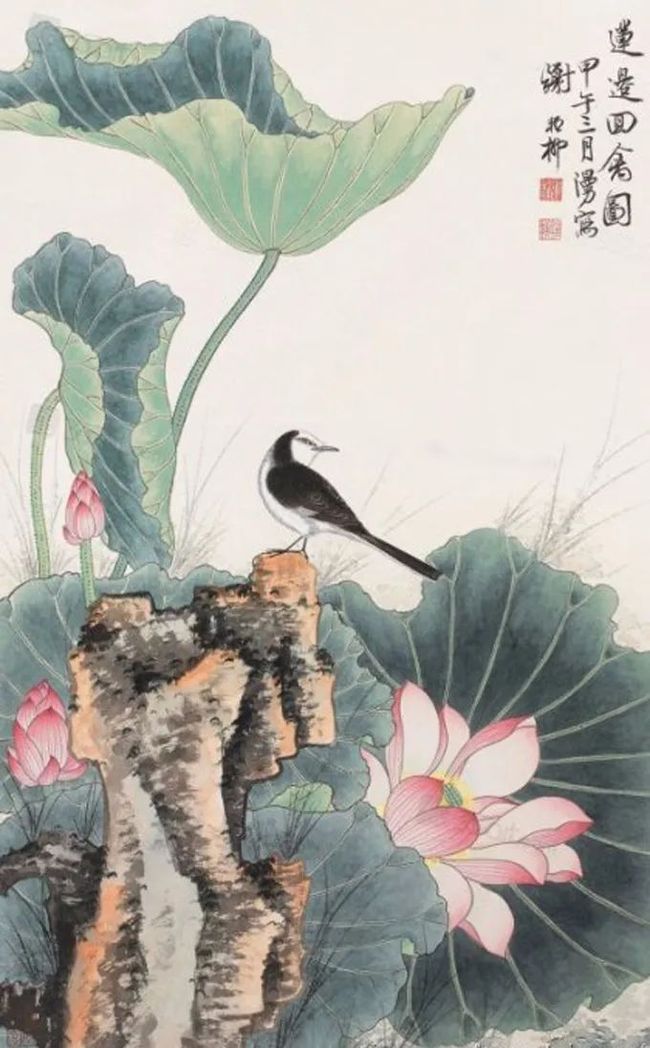 谢稚柳笔下的荷花，凝静含蓄中见潇洒！ 历代国画 第27张