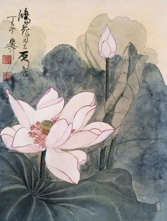谢稚柳笔下的荷花，凝静含蓄中见潇洒！ 历代国画 第35张