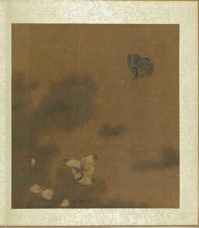 王渊《写生花卉册》之花蝶 历代国画 第1张