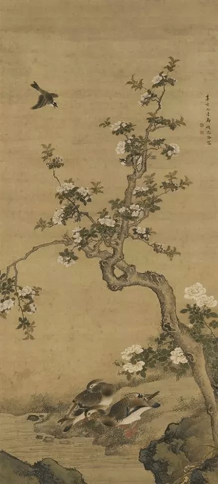 清代沈铨的花鸟作品鉴赏 历代国画 第14张