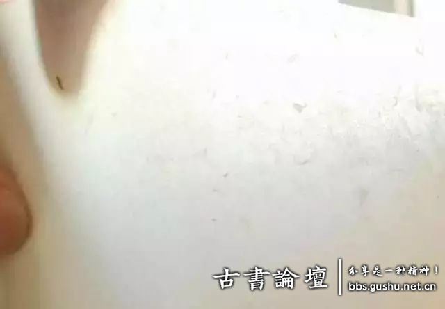 中国古代古籍纸张种类介绍 古籍善本 第10张-墨韵书香 中国古代古籍纸张种类介绍 古籍善本 第10张